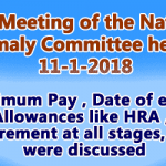Brief of National Anomaly Committee Meeting held on 11-1-2018